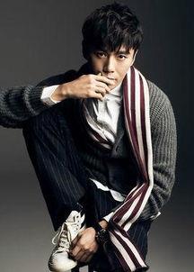 少剑波个人资料,传奇特工的英勇事迹与传奇人生