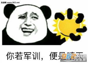 军训回来后的表情包,青春印记，笑谈军旅时光